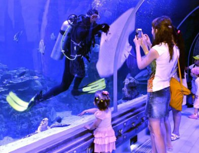 Velké akvárium v ​​Hurghadě