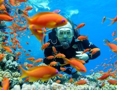 Potápění v Hurghadě