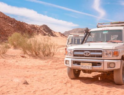 Výlet Sahara Park Safari