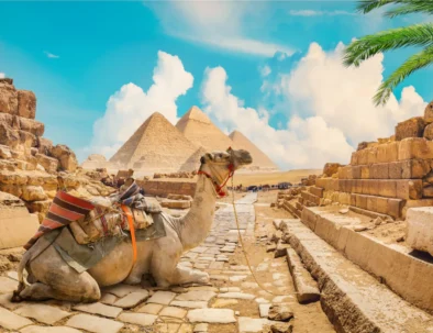 MARSA ALAM FAKULTATIVNÍ VÝLETY