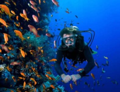 Potápění Marsa Alam z lodi