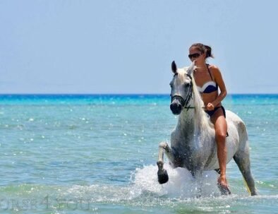 Jízda na koni a koupání v moři